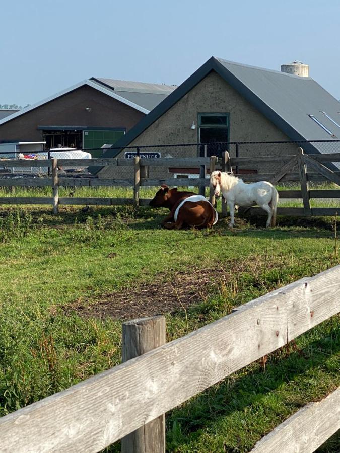 LeimuidenHerberg Boerderij De Straat-Hof住宿加早餐旅馆 外观 照片