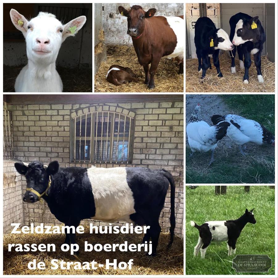 LeimuidenHerberg Boerderij De Straat-Hof住宿加早餐旅馆 外观 照片
