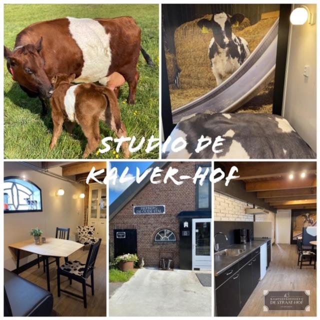 LeimuidenHerberg Boerderij De Straat-Hof住宿加早餐旅馆 外观 照片
